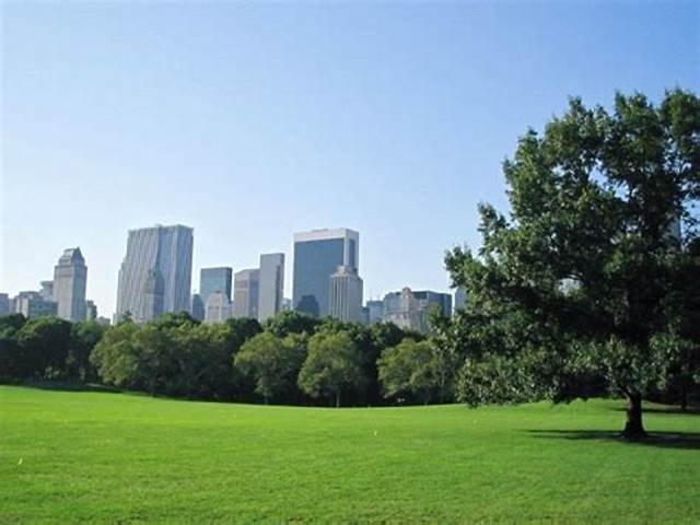 A imagem mostra um parque com uma cidade ao fundo, exemplificando o Zoneamento urbano ambiental