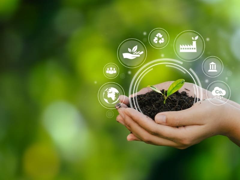 Uma ilustração com uma mão segura um globo de vidro que dentro tem uma planta e em volta imagens sobre sites para ensinar sustentabilidade