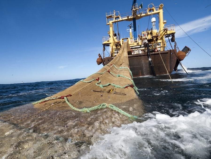 sobre-exploração dos recursos marinhos2