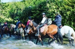 Vários turistas atravessam um rio montados em cavalos com uma mata densa ao lado. Praticam o turismo equestre