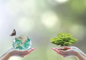 Mão em oposição mostram uma planeta e uma árvore simbolizando as práticas ambientais sustentantáveis