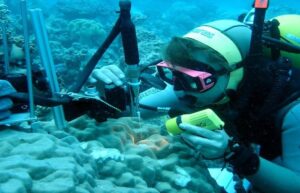 Cientista estudando o fundo do mar com a biotecnologia azul