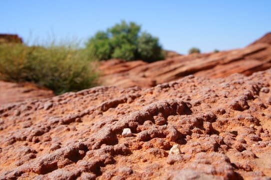 Mostra uma área que precisa ser modificada pela biotecnologia em solos áridos e desérticos