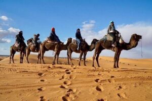 homens montados em camelos enfileirados em ecossistemas desérticos
