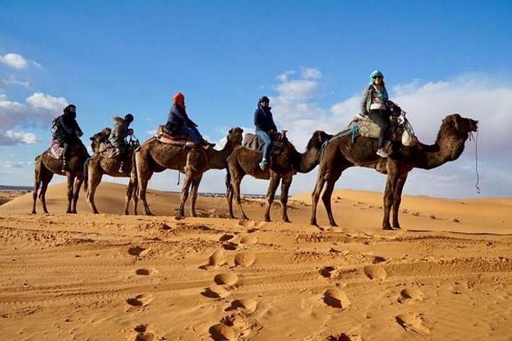 homens montados em camelos enfileirados em ecossistemas desérticos