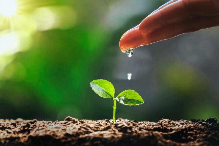 Da ponta dos dedos escorre pingos de água em uma planta brotando, representando a ética ambiental