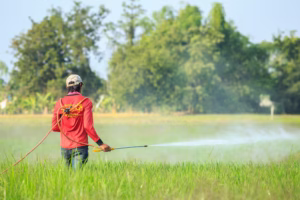 Homem aplicando fertilizantes químicos descontroladamente em uma plantação
