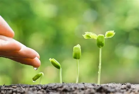 Uma mão parece estar depositando nanofertilizantes em plantas em crescimento