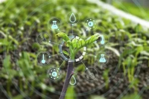 uma planatção sobreposta por símbolos sustentáveis indica a nanotecnologia ambiental