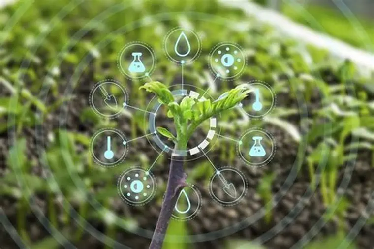 uma planatção sobreposta por símbolos sustentáveis indica a nanotecnologia ambiental