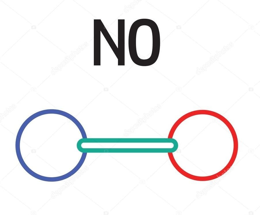 Dois círculos se ligam, representando o óxido nítrico