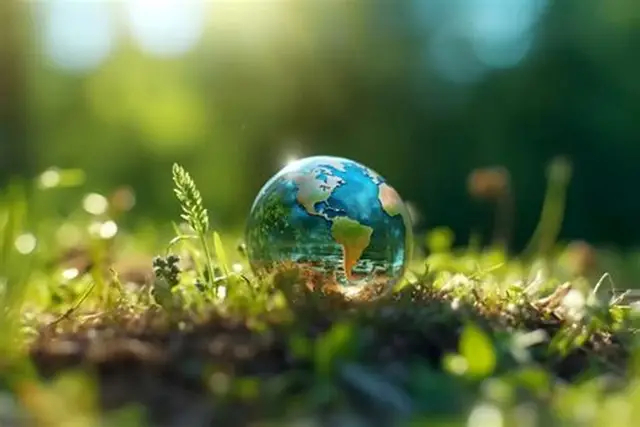 Um pequeno globo terrestre na natureza representa a preservação da natureza