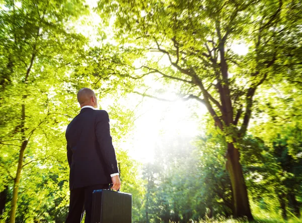 Um homem de terno observa uma floresta pensando nos tipos de responsabilidade ambiental