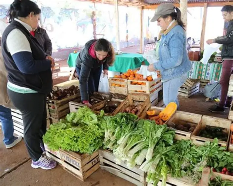Agricultores expõe a produção de alimentos saudáveis