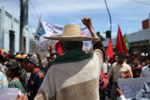 Agricultores desamparados lutam contra a desigualdade no acesso à terra