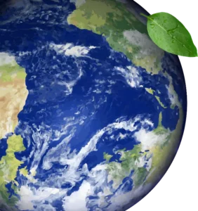 Origem e história do consumo consciente