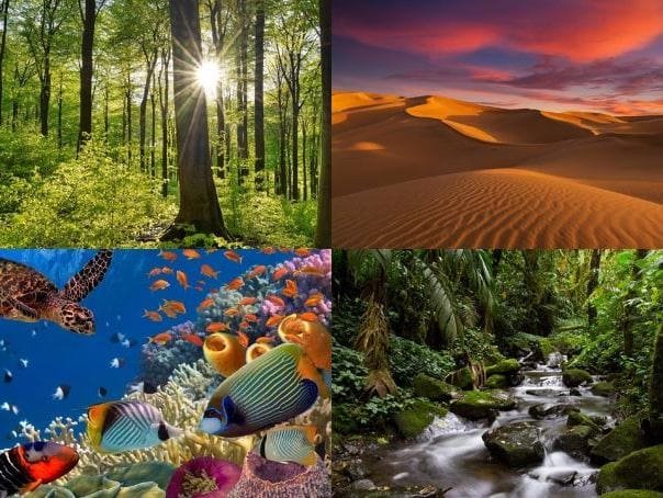 tipos-de-ecossistemas-naturais-principais-do-planeta-terra-123-ecos