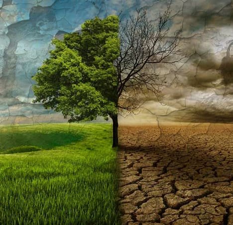Imagem dividida mostrando, de um lado, uma paisagem verde e saudável com um árvore frondosa, e do outro lado um solo rachado e árido com a mesma árvore seca, simbolizando os efeitos extremos das mudanças climáticas.