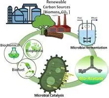 resíduos para biodigestão anaeróbica
