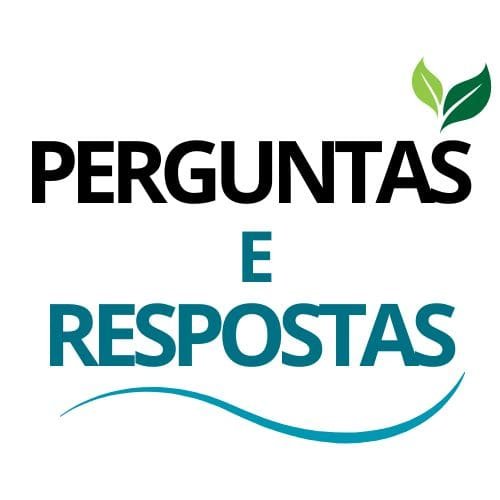 123 ecos logo perguntas e respostas