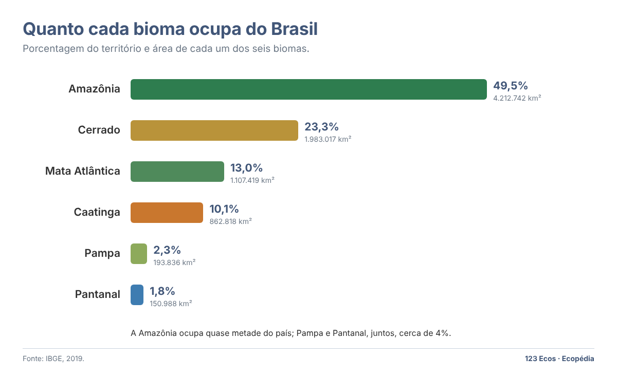 Gráfico de barras com a porcentagem do território de cada bioma: Amazônia 49,5%, Cerrado 23,3%, Mata Atlântica 13,0%, Caatinga 10,1%, Pampa 2,3% e Pantanal 1,8%
