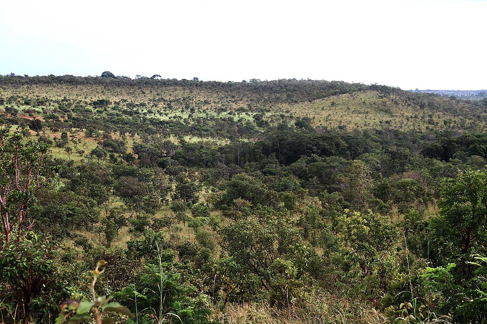 Morros cobertos de vegetação de Cerrado sob céu claro, no Parque Estadual do Lajeado (TO)