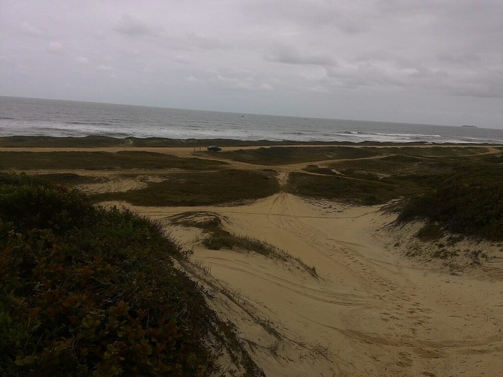 Dunas com vegetação de restinga e o mar ao fundo no Parque Estadual Acaraí, em São Francisco do Sul (SC)