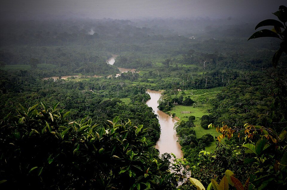 Vista do alto da floresta amazônica com um rio sinuoso cortando a mata, no Parque Estadual Chandless (AC)