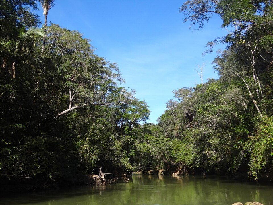 Rio de águas verdes entre margens de mata alta, sob céu azul, no Parque Estadual Dom Osório Stoffel (MT)