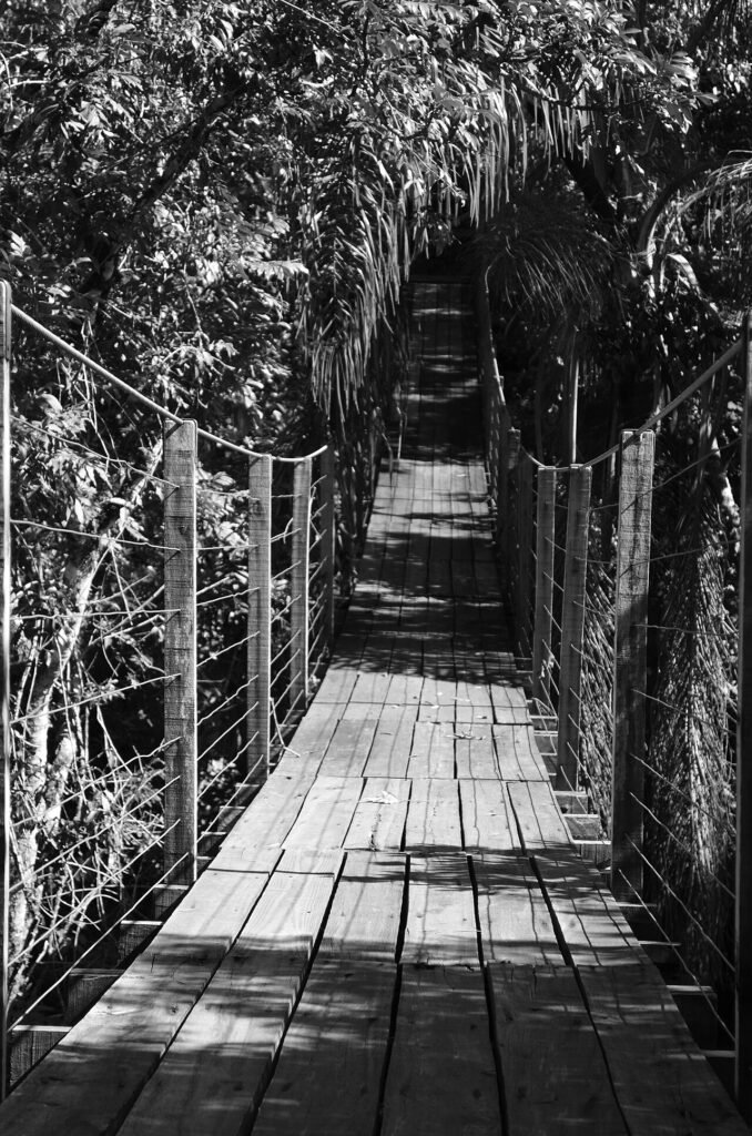 Foto em preto e branco de uma ponte pênsil sobre o rio Lajeado Cruzeiro, entre as copas das árvores, no Parque Estadual Fritz Plaumann, em Concórdia (SC)
