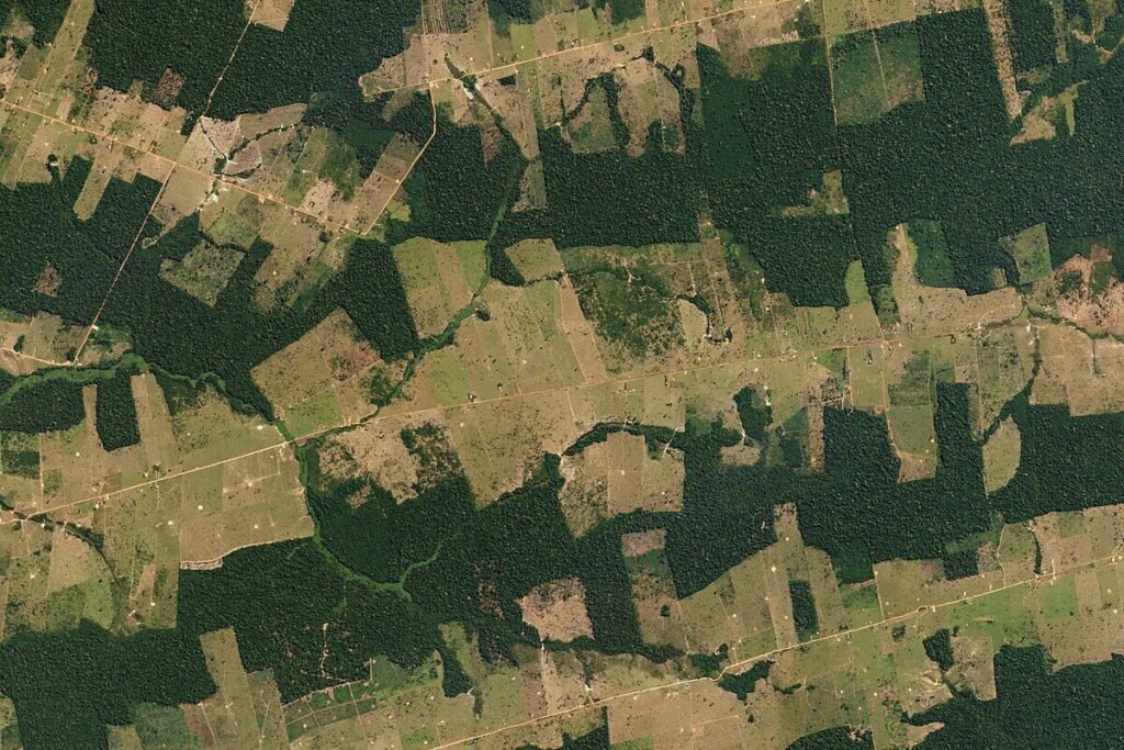 Vista de satélite de manchas de floresta cercadas por pastagens em Rondônia