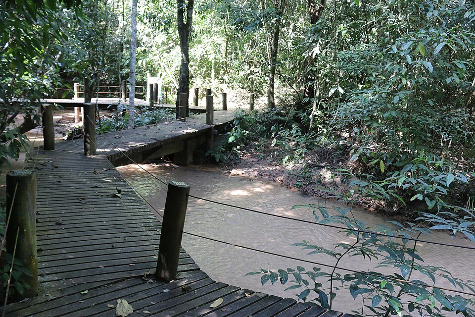 Passarela de madeira atravessando a mata, com corrimão de corda, no Parque Estadual do Prosa