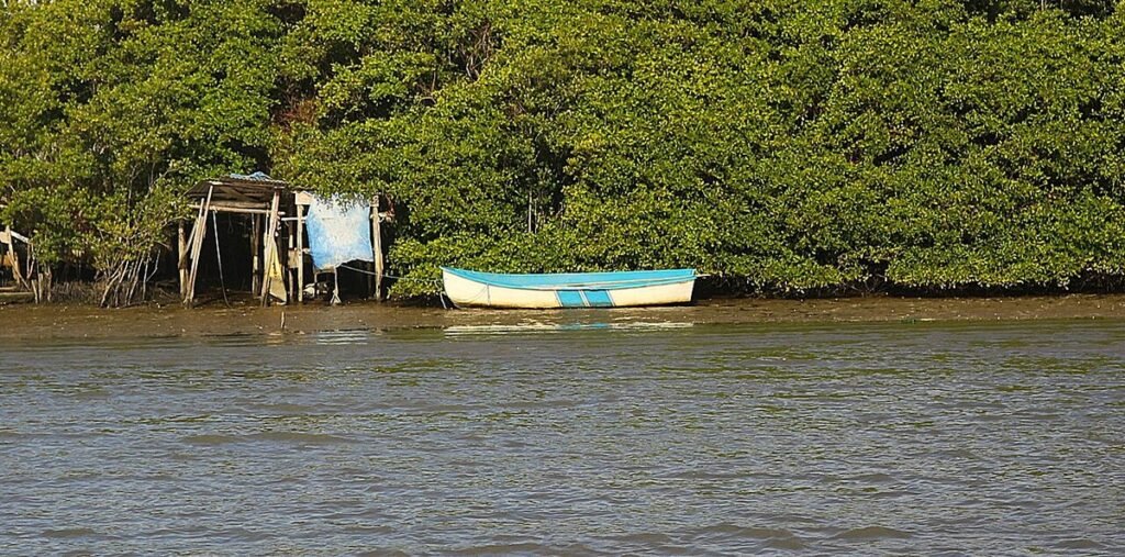 Barco e casinha de madeira na beira de um mangue, com mata fechada atrás, no Parque Natural Municipal do Maciço da Costeira