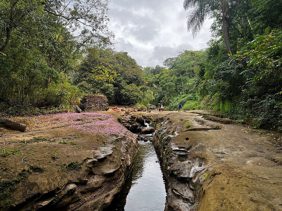 Leito de pedra de um riacho com flores rosadas e mata dos dois lados, no Parque Estadual Sítio Fundão (CE)