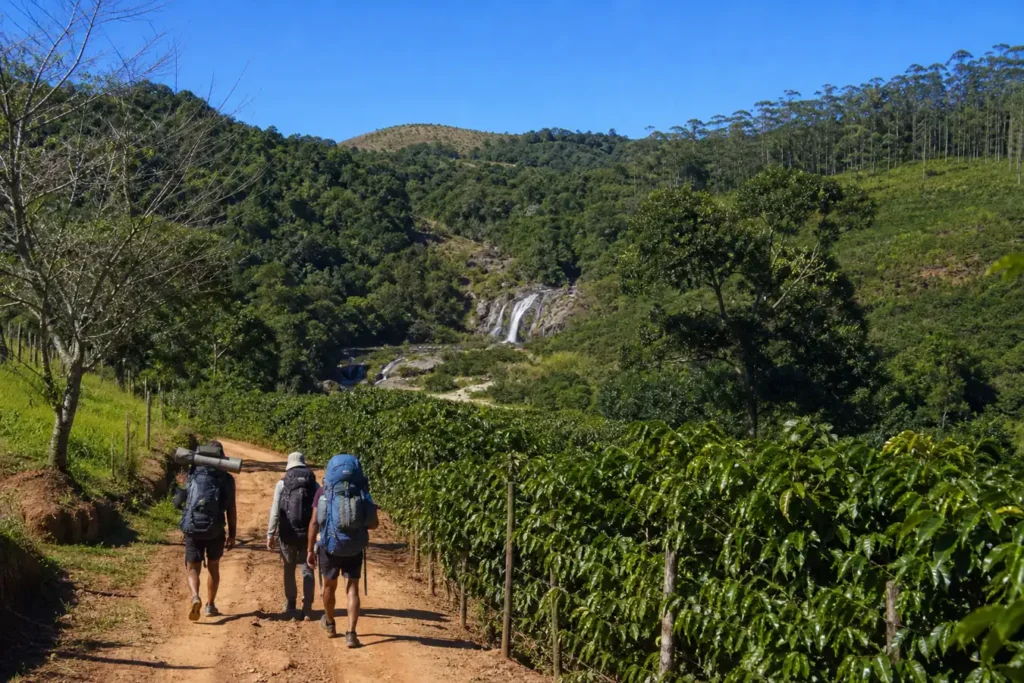 Mochileiros de costas numa trilha entre cafezais e mata, com cachoeira ao fundo, um passeio de ecoturismo rural