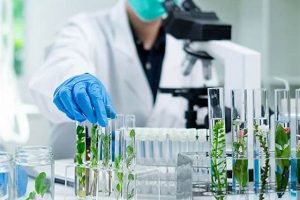 Uma das aplicações das Ciências Biológicas, um cientista manipulando vidraçarias em um laboratório.