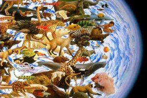 Diversidade de ecossistemas representado em ilustração do globo terrestre com várias espécies de animais.