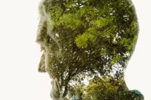 Diferenças entre ecologia e sustentabilidade - perguntas e respostas