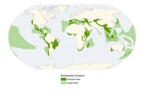 mapa mostra em verde onde se localizam alguns hotspots da biodiversidade