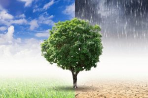 as perguntas sobre as mudanças climáticas precisam de respostas urgentes