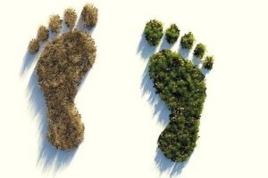 Dois pegadas, uma representa a ecologia em risco em marron e outra sustentável em verde, caracterizando a pegada ecológica