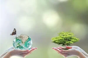 Mão em oposição mostram uma planeta e uma árvore simbolizando as práticas ambientais sustentantáveis