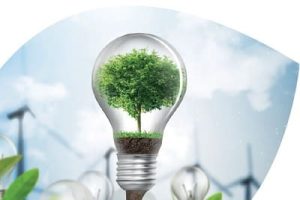 Uma lâmpada com uma árvore dentro, cercada por imagens da sustentáveis, demonstra a necessidade de Sustentabilidade Econômica