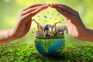 Imagem representativa da preservação ambiental, duas mãos sobre o globo terrestre ao meio e em cima dele várias espécies de animais, tais como girafa, elefante, pássaro, veados e etc.