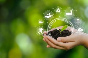Uma ilustração com uma mão segura um globo de vidro que dentro tem uma planta e em volta imagens sobre sites para ensinar sustentabilidade