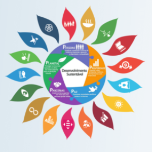 Logotipo do grupo Discutindo os Objetivos de Desenvolvimento da Agenda 2030 - ONU